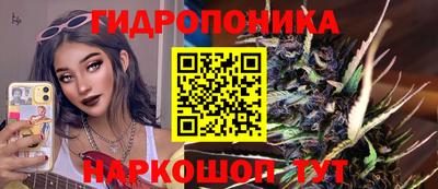 хмурый Заводоуковск