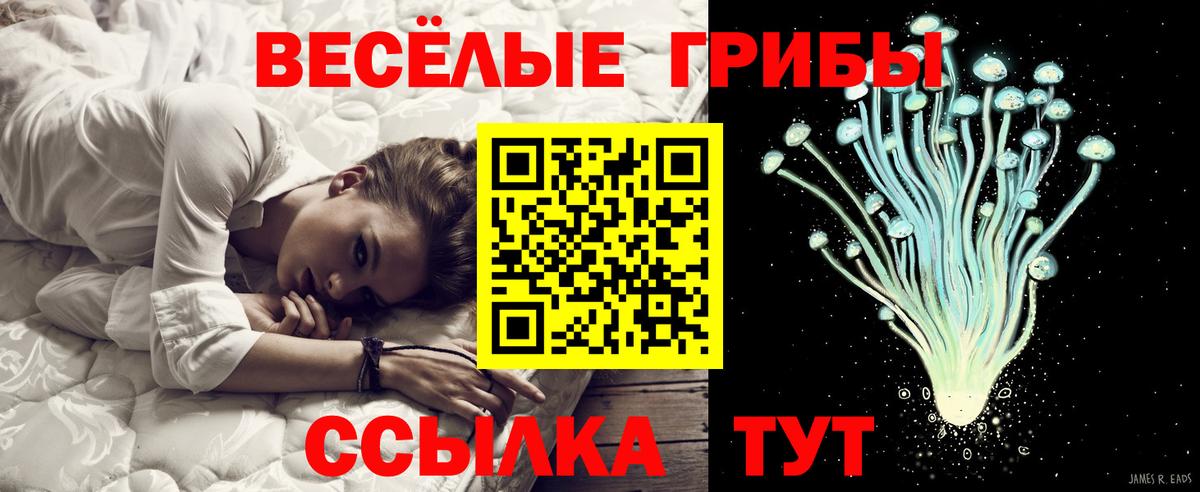 Псилоцибиновые грибы GOLDEN TEACHER  Вход с VPN  Лыткарино 